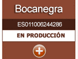 bocanegra