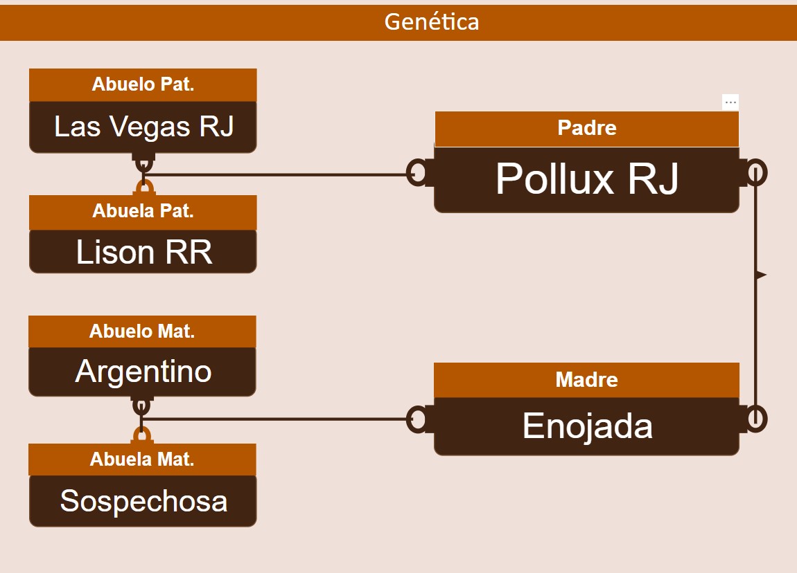 genetica