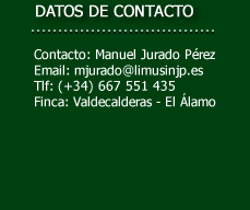 contacto