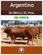 Argentino