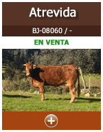 Atrevida