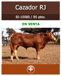 Cazador RJ