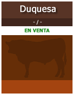 Duquesa